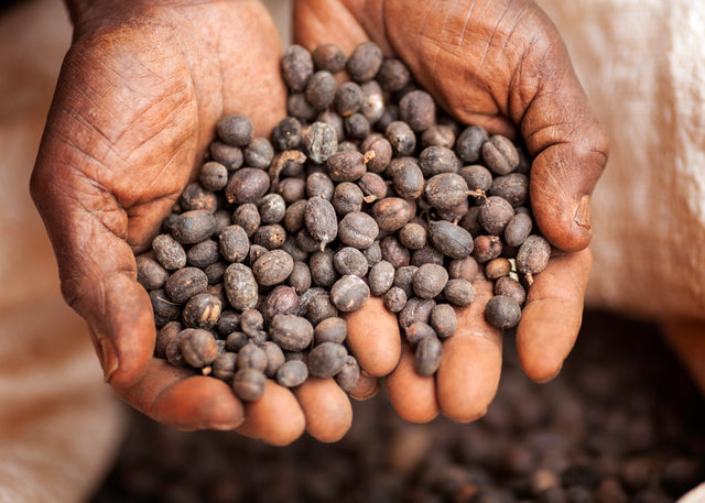 Brazil Cerrado, grønne kaffebønner, 1kg
