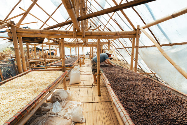 Honduras Capucas, 1kg, grønne kaffebønner
