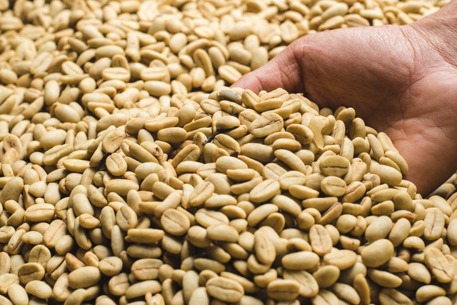 Sumatra Lintong Mandheling, Gayo, grønne kaffebønner, 1kg