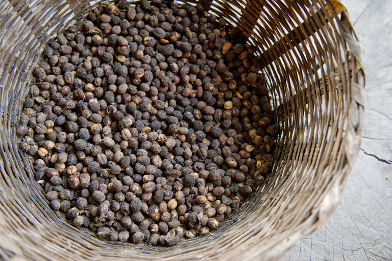 Uganda, Wugar Bukonzo coop, grønne kaffebønner, 1kg